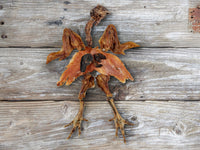 The Farmer's Dog | Deconstructed Chicken [PET FOOD ONLY]