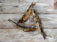 The Farmer's Dog | Wild Caught Sardines [PET FOOD ONLY]