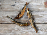 The Farmer's Dog | Wild Caught Sardines [PET FOOD ONLY]