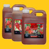 The Chilli Factory | Hot Sauce Bulk Packs, Catering Packs